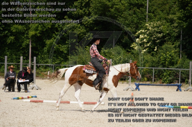 s_K3F02299.JPG